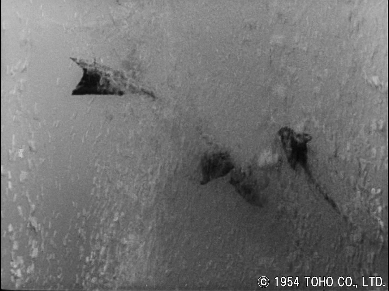 骨だけになる魚